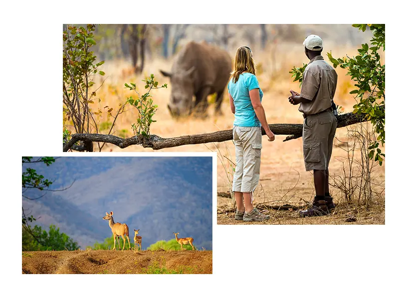 Sambia-Private-Geführte-Safaris