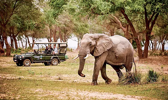 Sambia-Private-Geführte-Safaris-Kombi Malawi-Sambia-Was-ist-ausgeschlossen