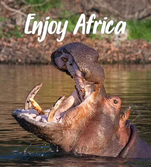 Sambia-Private-Geführte-Safaris-Kombi-Malawi-und-Sambia-enjoy-africa