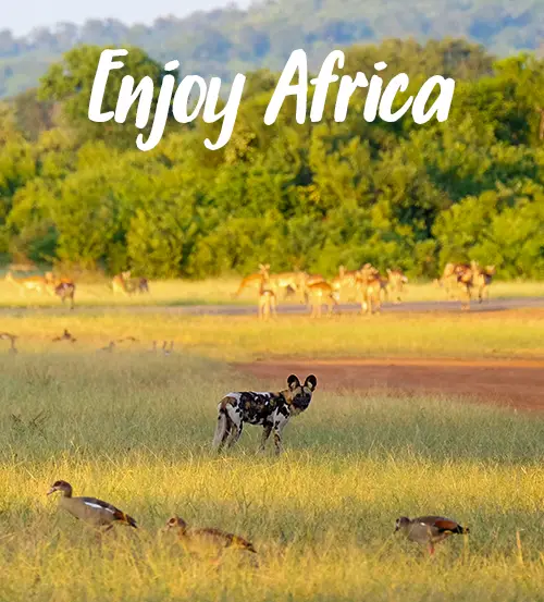 Sambia-Private-Geführte-Safaris-uber-Explore-Zambia -Enjoy-Africa