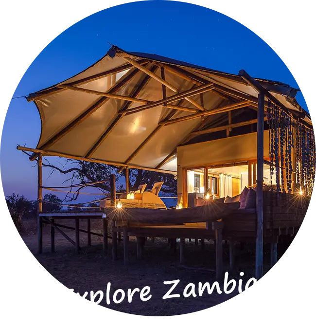 Sambia-Private-Geführte-Safaris-Kontakt