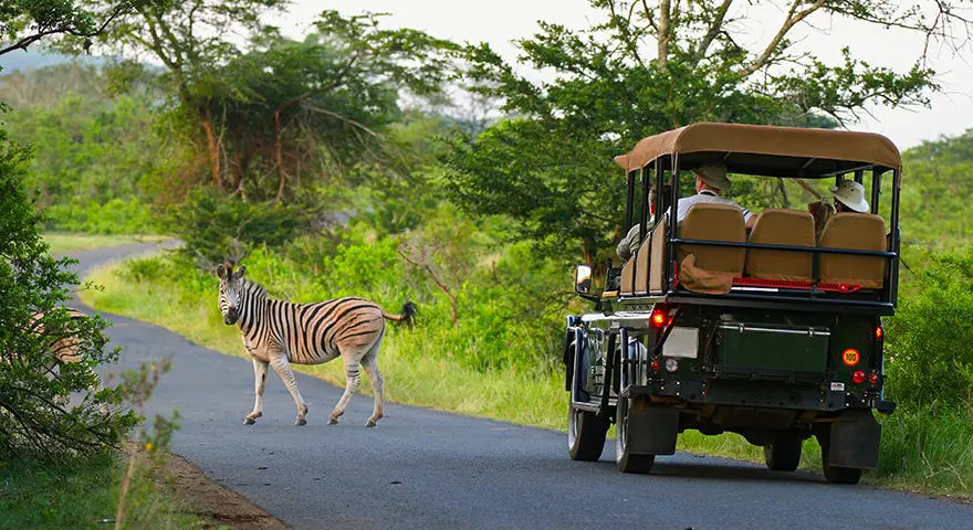 Sambia-Private-Geführte-Safaris-Bezahlungsgarantie-Notfallfonds