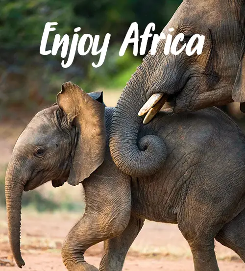 Sambia-Private-Geführte-Safaris-Bezahlungsgarantie-Notfallfonds-Enjoy-Africa