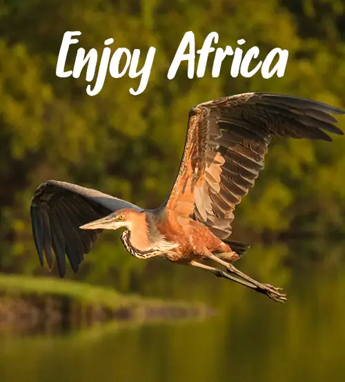 Sambia-Private-Geführte-Safaris-über-Sambia -Enjoy-Africa