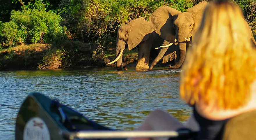 Sambia-Private-Geführte-Safaris-Bezahlung