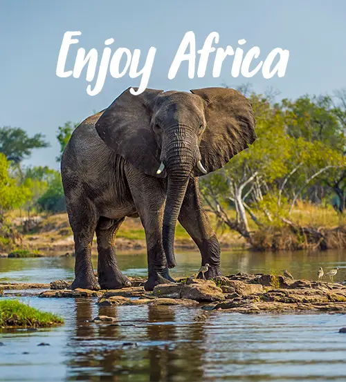 Sambia-Private-Geführte-Safaris-Buchungsanfrage-Enjoy-Africa