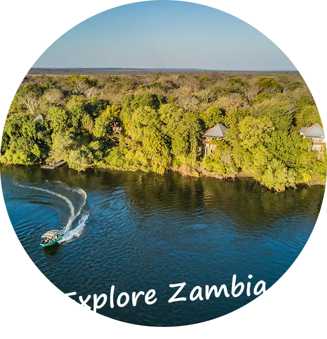 Sambia-Private-Geführte-Safaris-Tarife