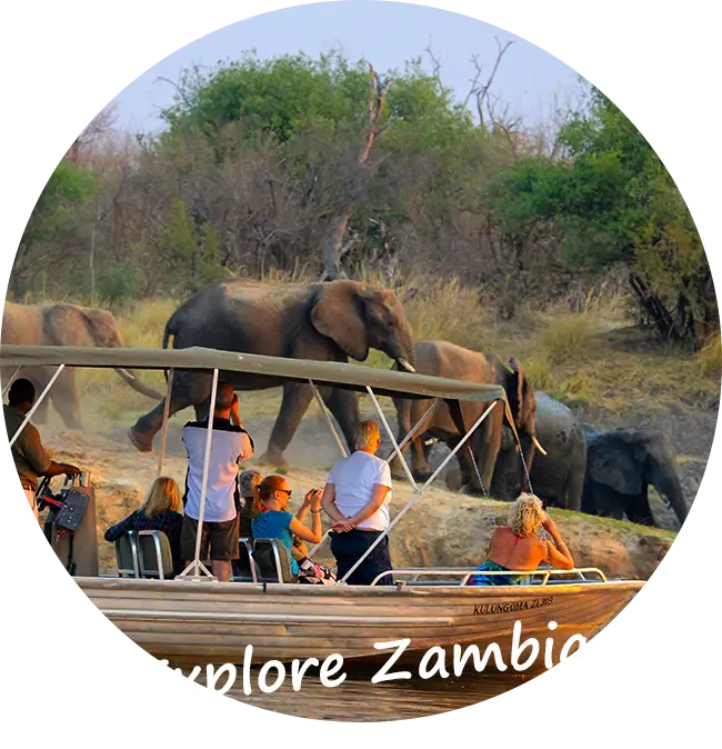 Sambia-Private-Geführte-Safaris-Kunden-Feedback