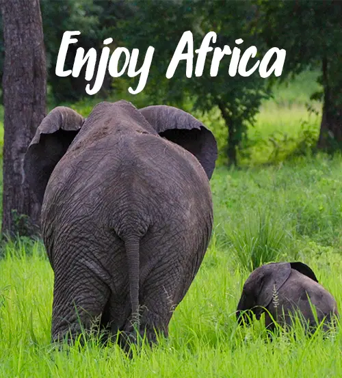 Sambia-Private-Geführte-Safaris-Kunden-Feedback-Enjoy-Africa