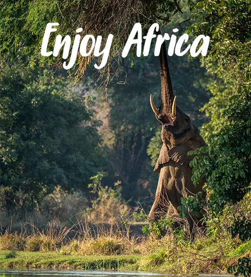 Sambia-Private-Geführte-Safaris-Reisen-in-Sambia -enjoy-Africa