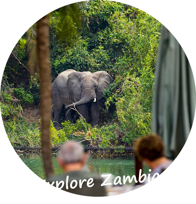 Sambia-Private-Geführte-Safaris-Nachhaltiges-und-bewusstes-Reisen-in-Sambia