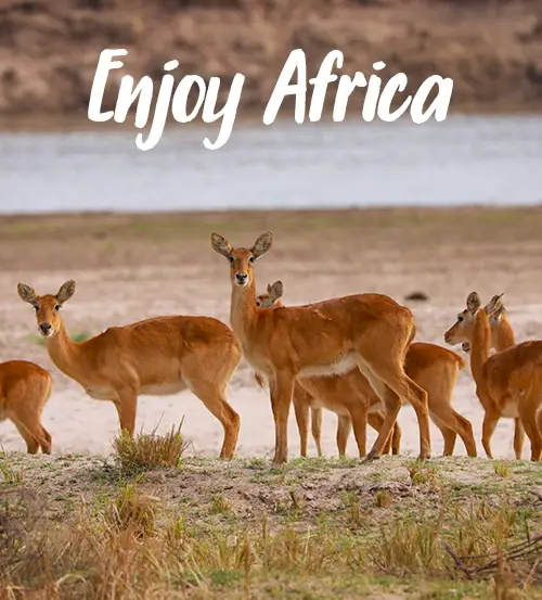 Sambia-Private-Geführte-Safaris-Was wir anbieten um Sambia zu erkunden-Enjoy-Africa