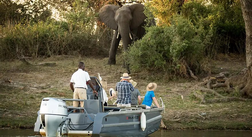 Sambia-Private-Geführte-Safaris-Was wir anbieten, um Sambia zu erkunden