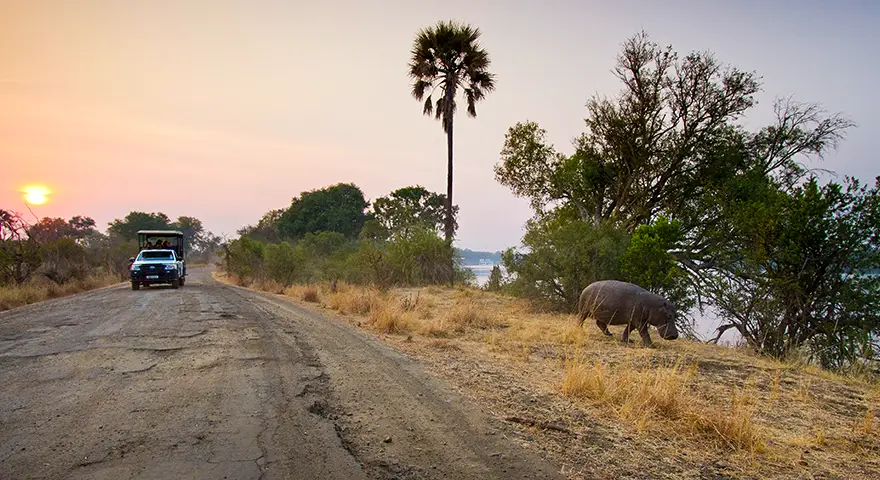 Sambia-Private-Geführte-Safaris-Was wir anbieten, um Sambia zu erkunden