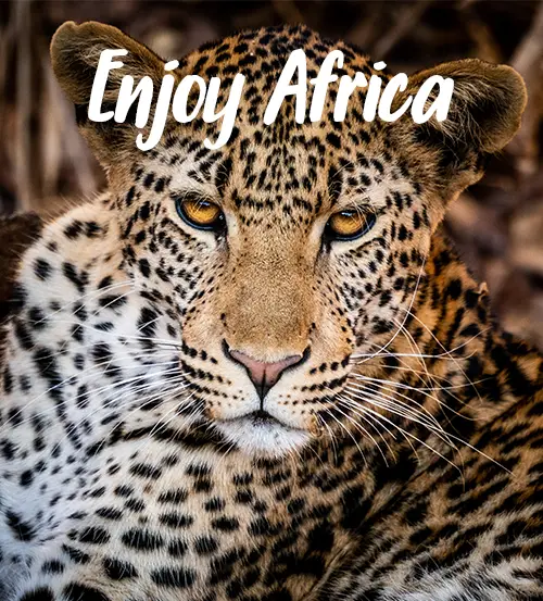 Explore-Zambia-Was man in Sambia besuchen sollte-Enjoy-Africa