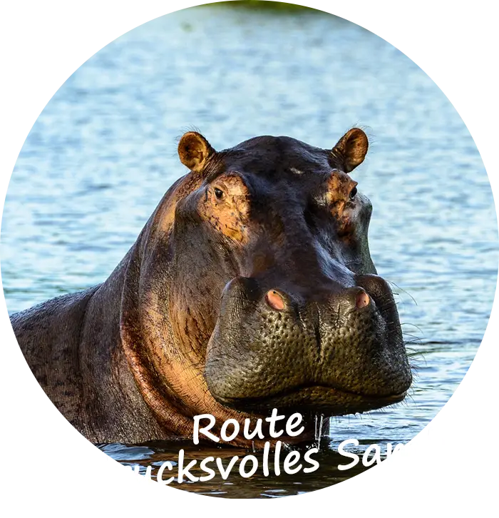 Sambia-Private-Geführte-Safaris-Route-Eindrucksvolles-Sambia