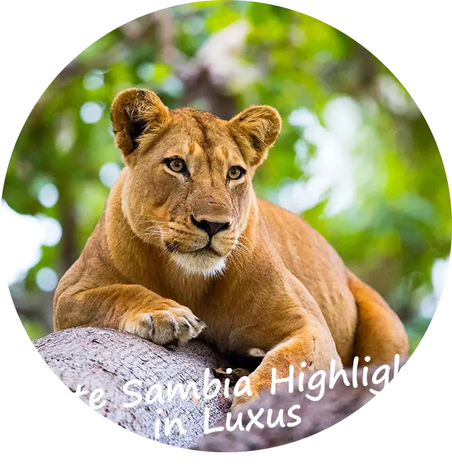 Sambia-Private-Geführte-Safaris-Sambia-Highlights-in-Luxus