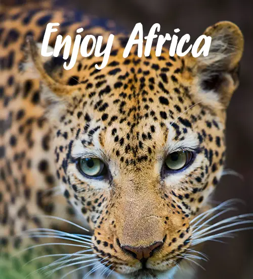 Explore-Zambia-Sambia-Private-Geführte-Safaris-Impressum