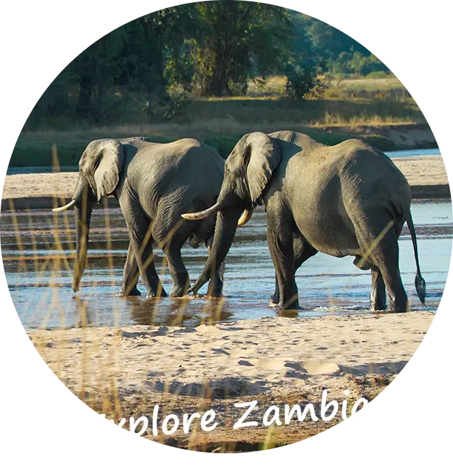 Explore-Zambia-Sambia-Private-Geführte-Safaris-Impressum