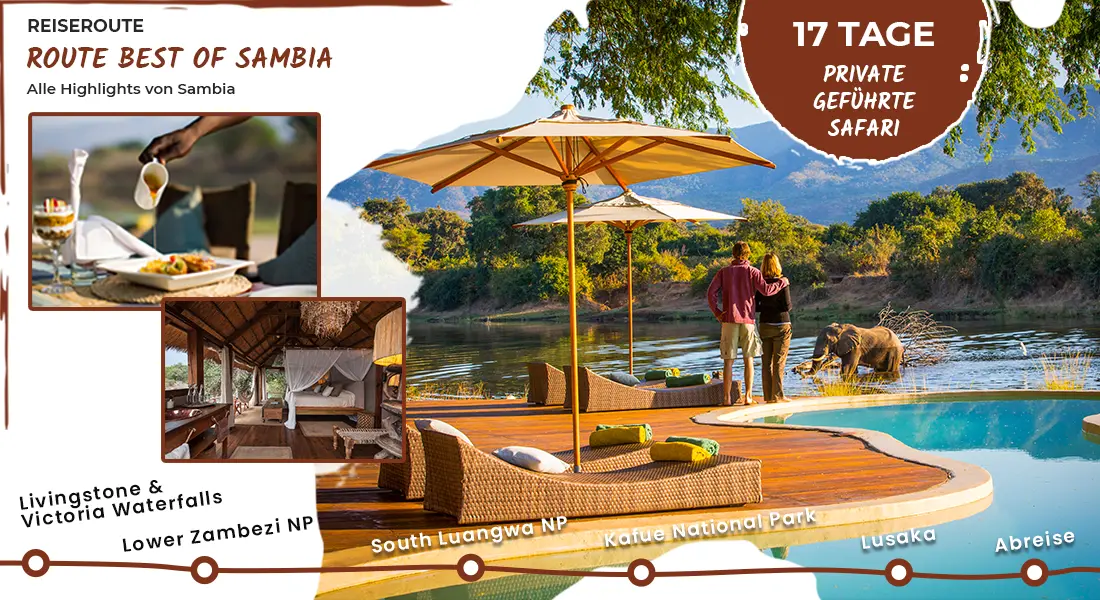 Private Geführte Safari - Best of Sambia